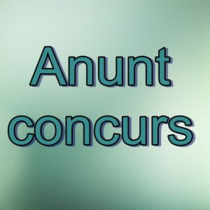 Concurs pentru ocuparea funcției de director adjunct