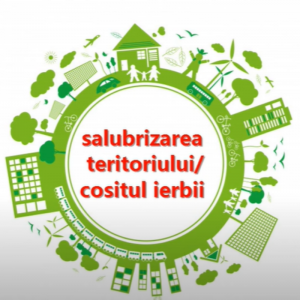 Angajații Liceului tehnologic pentru copii cu vedere slabă mențin teritoriul mereu curat și îngrijit, fapt aplaudabil ce atestă buna organizare și gestionare a activităților de salubritate.